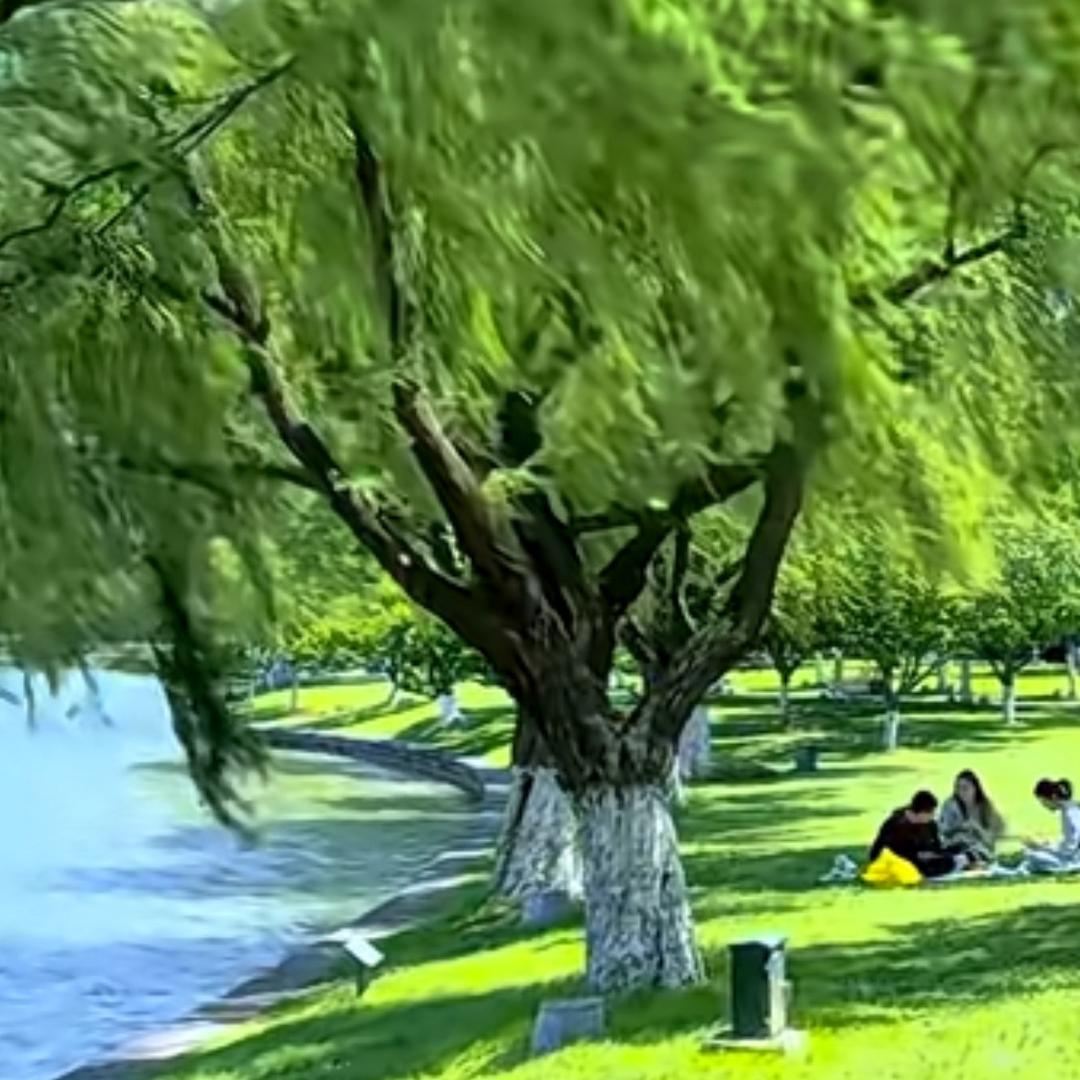 ⁵²⁰高歌₁₃₁₄