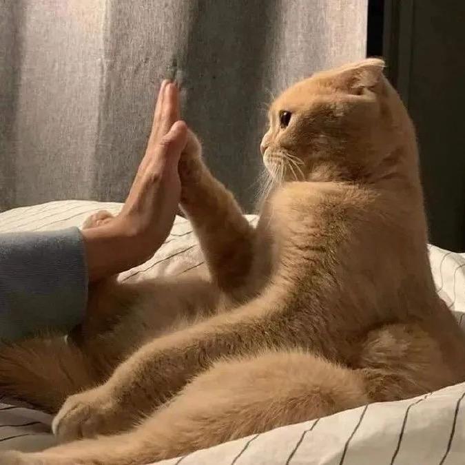 寡妇床底少年郎