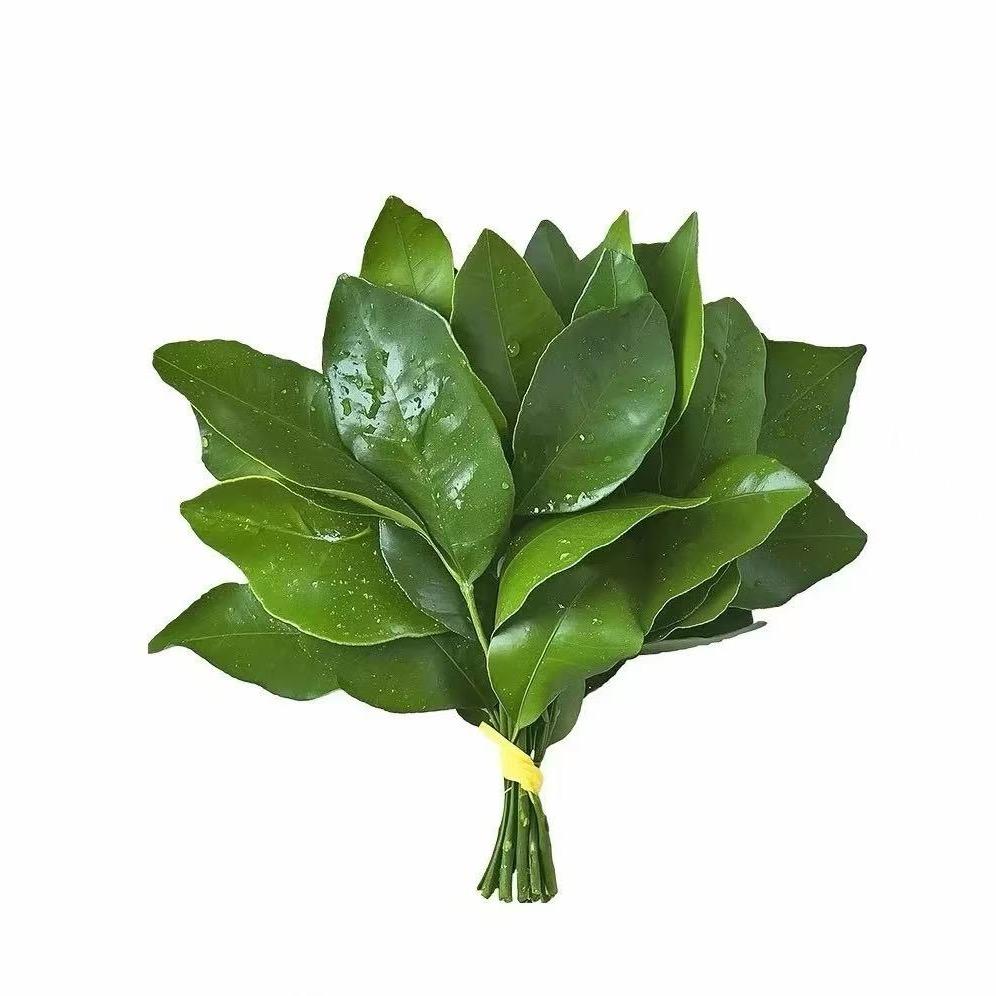 明天吃什么