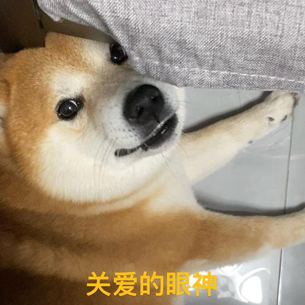 游走边缘
