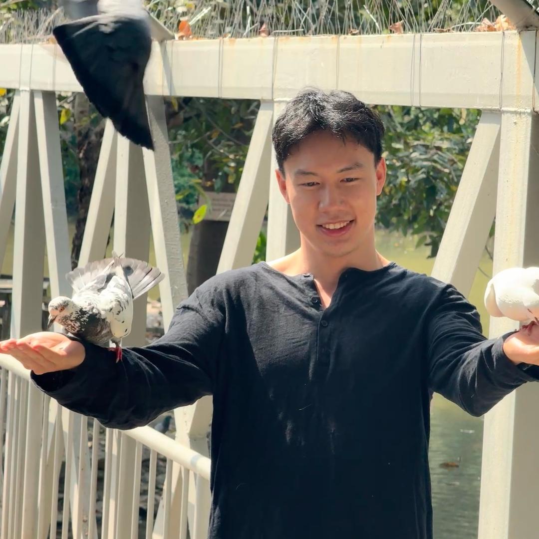 大灰狼爱去图书管搬家
