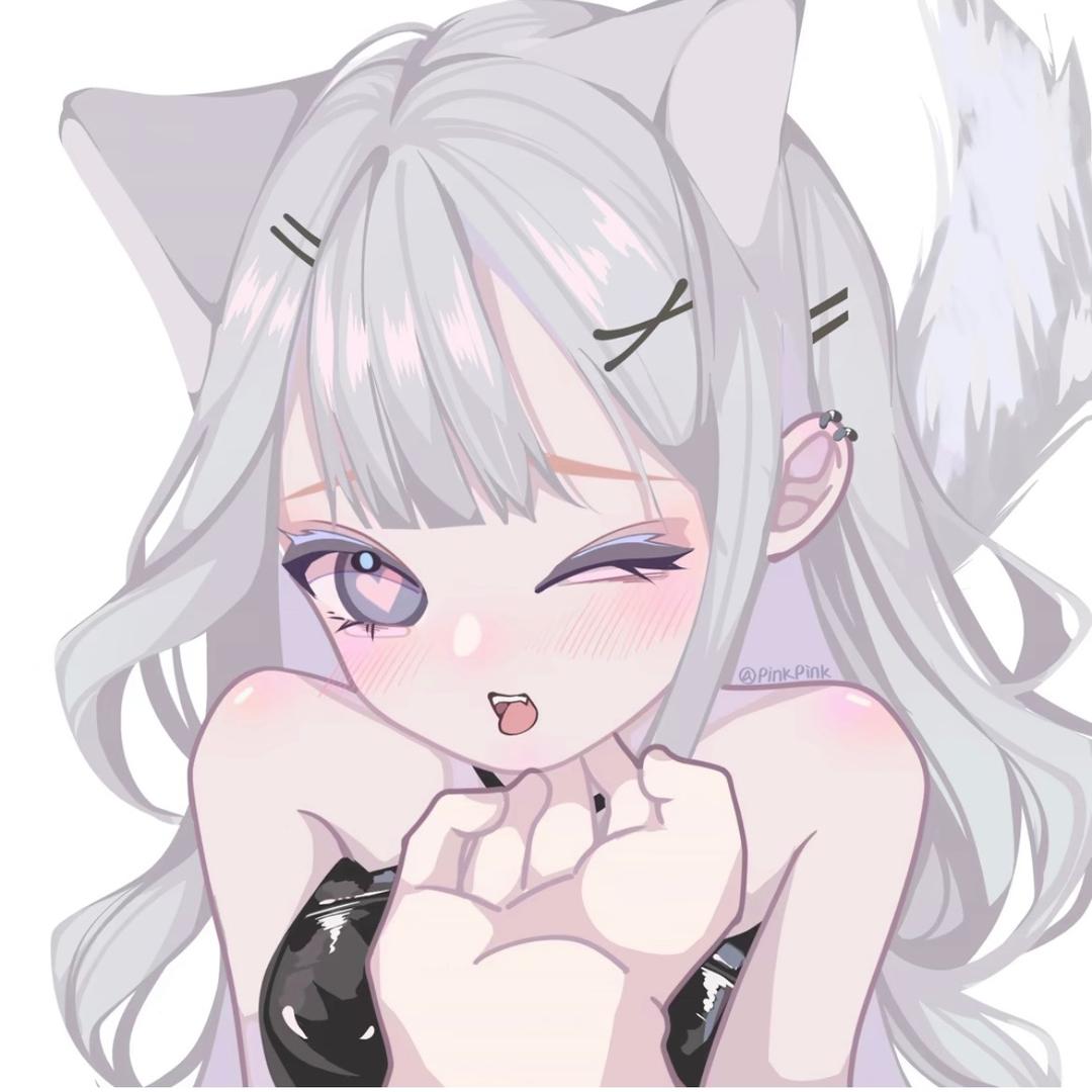 失眠狐狸