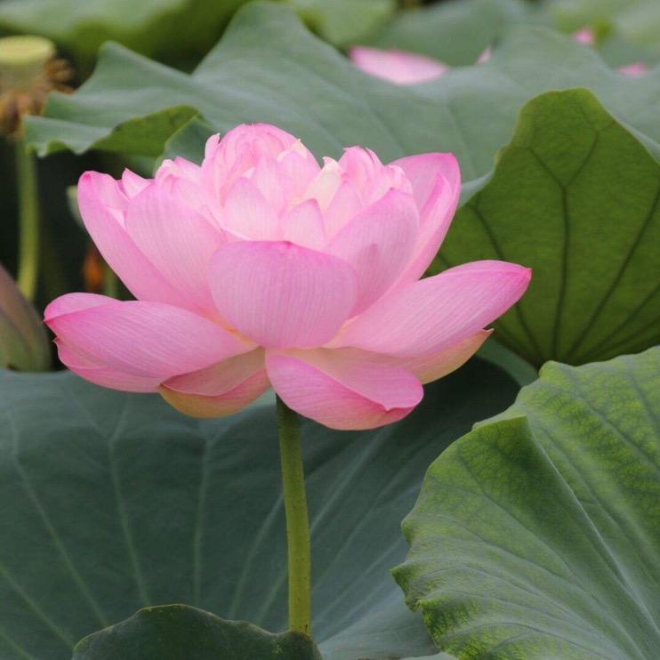 清理小助手