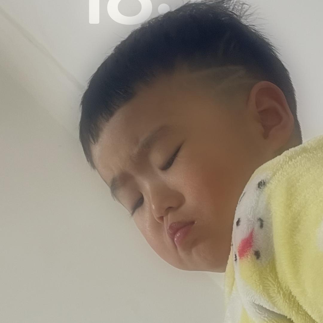 杨 杨