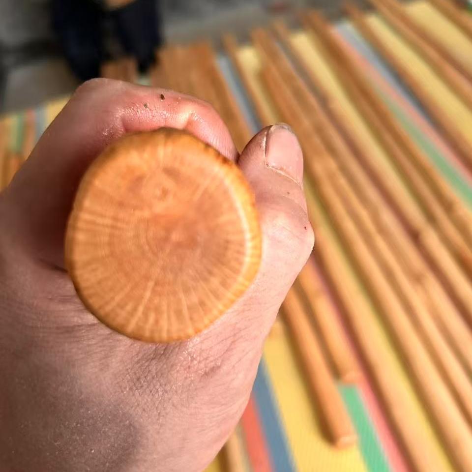 深山棒艺和老桩