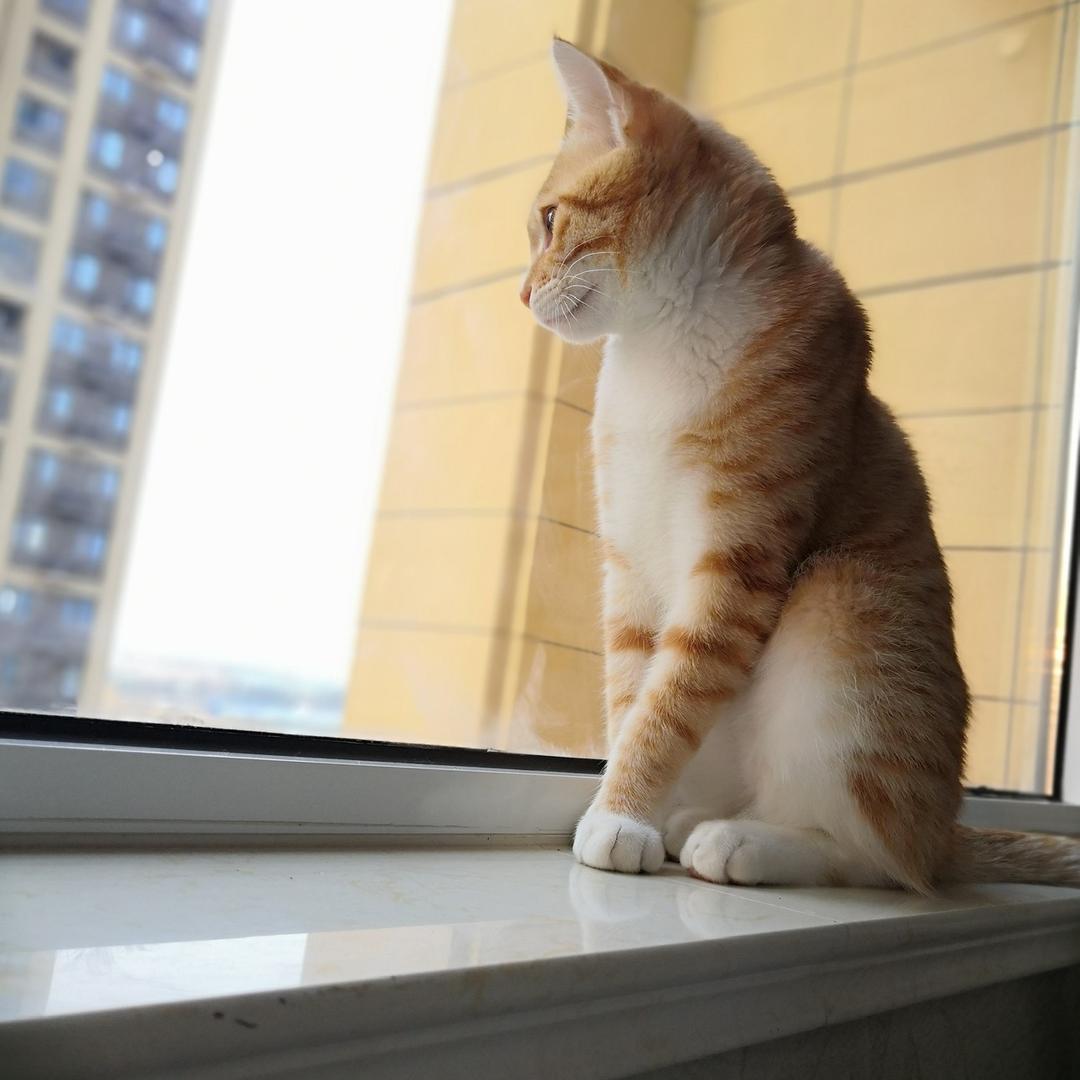 爱吃火锅