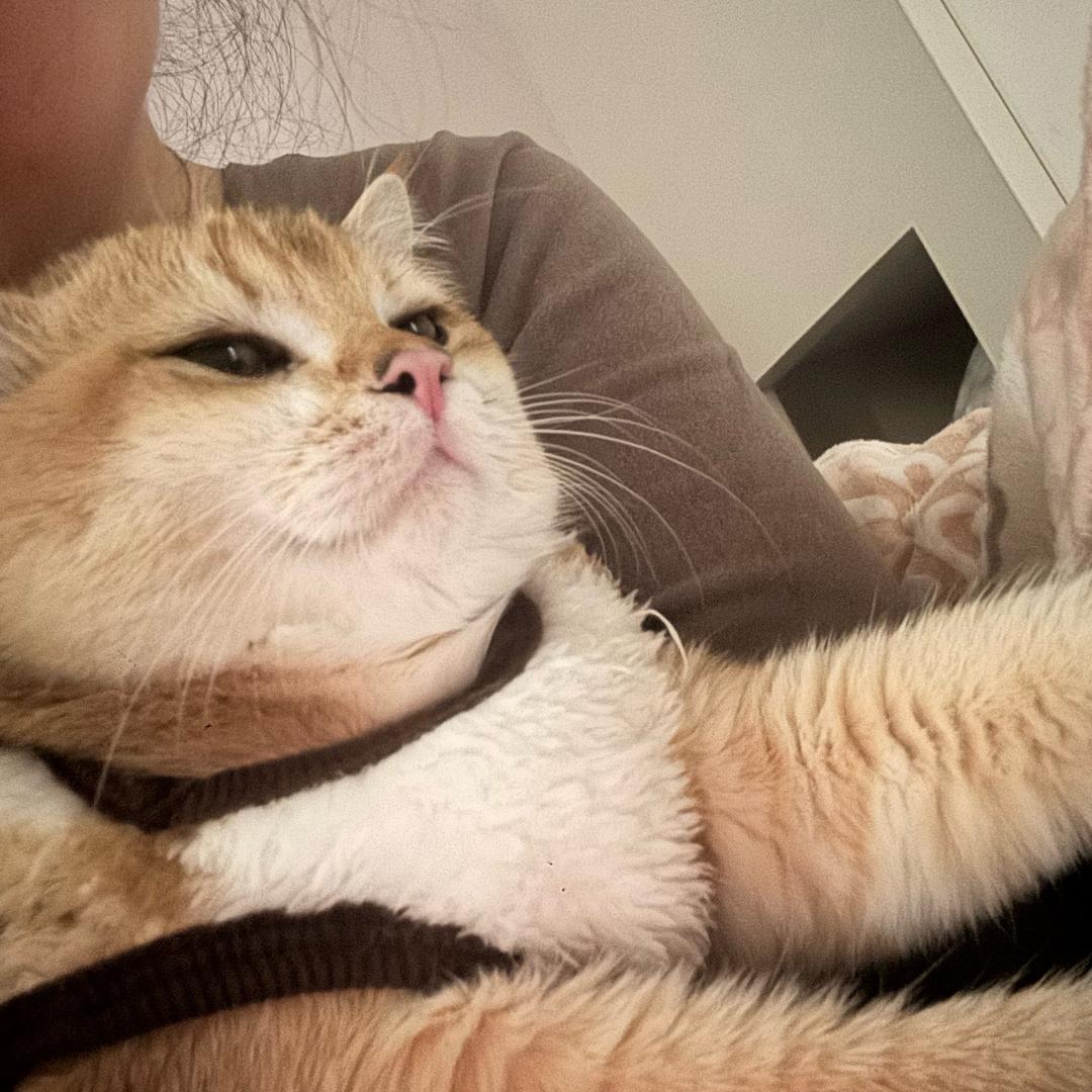 嘻嘻饭团·哈哈水煮（靖安店）