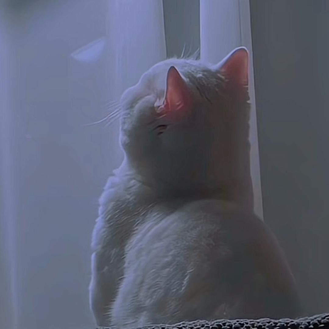 般若