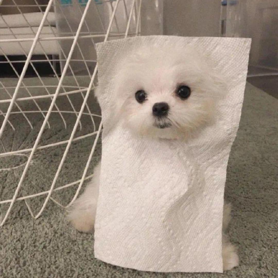 智慧的黑眼圈