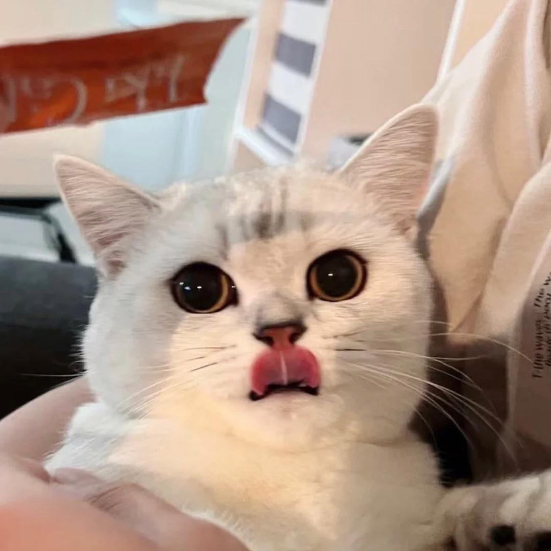 福圆圆不圆