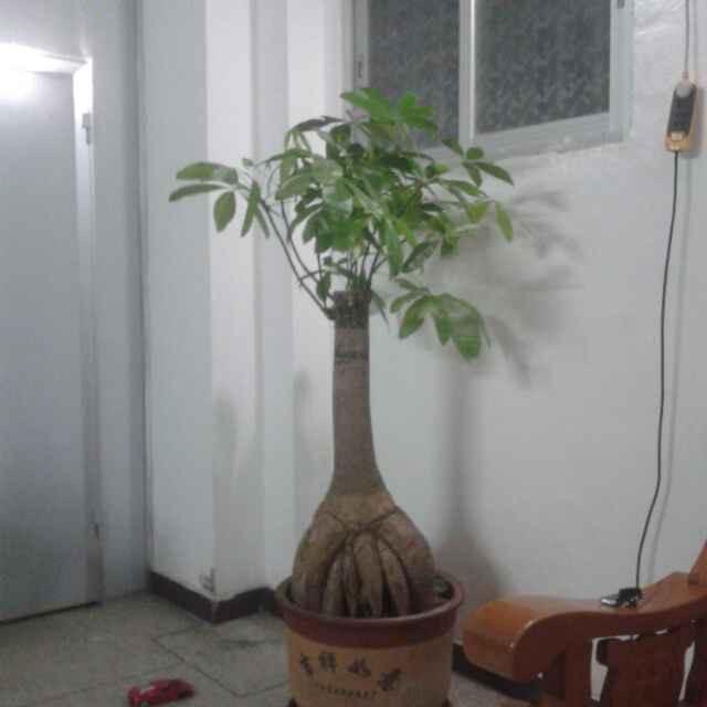 胡，笑看人生