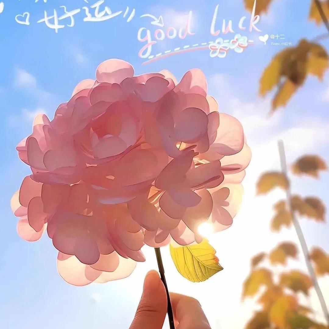 指上青芜