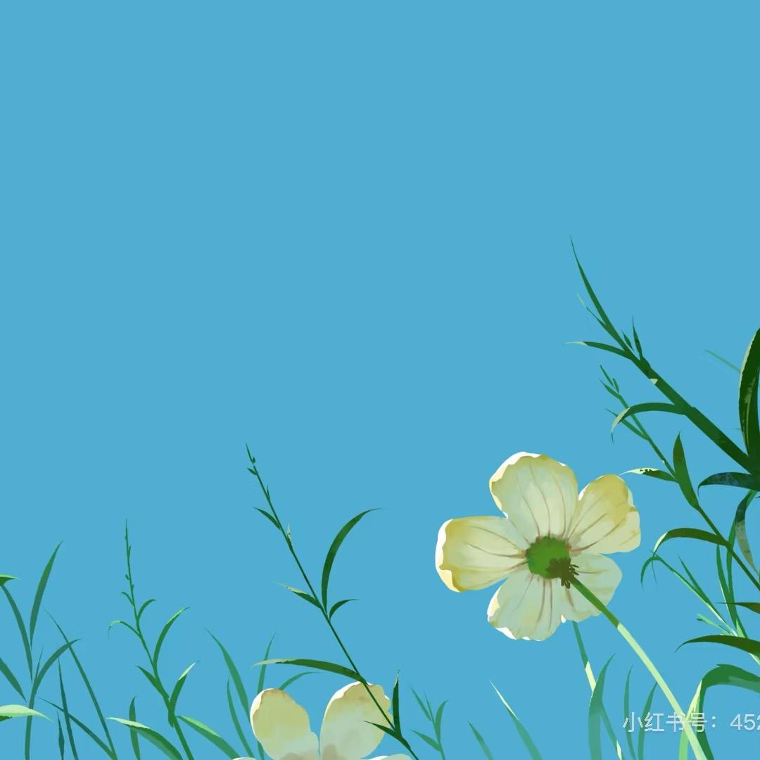 汪老师说方