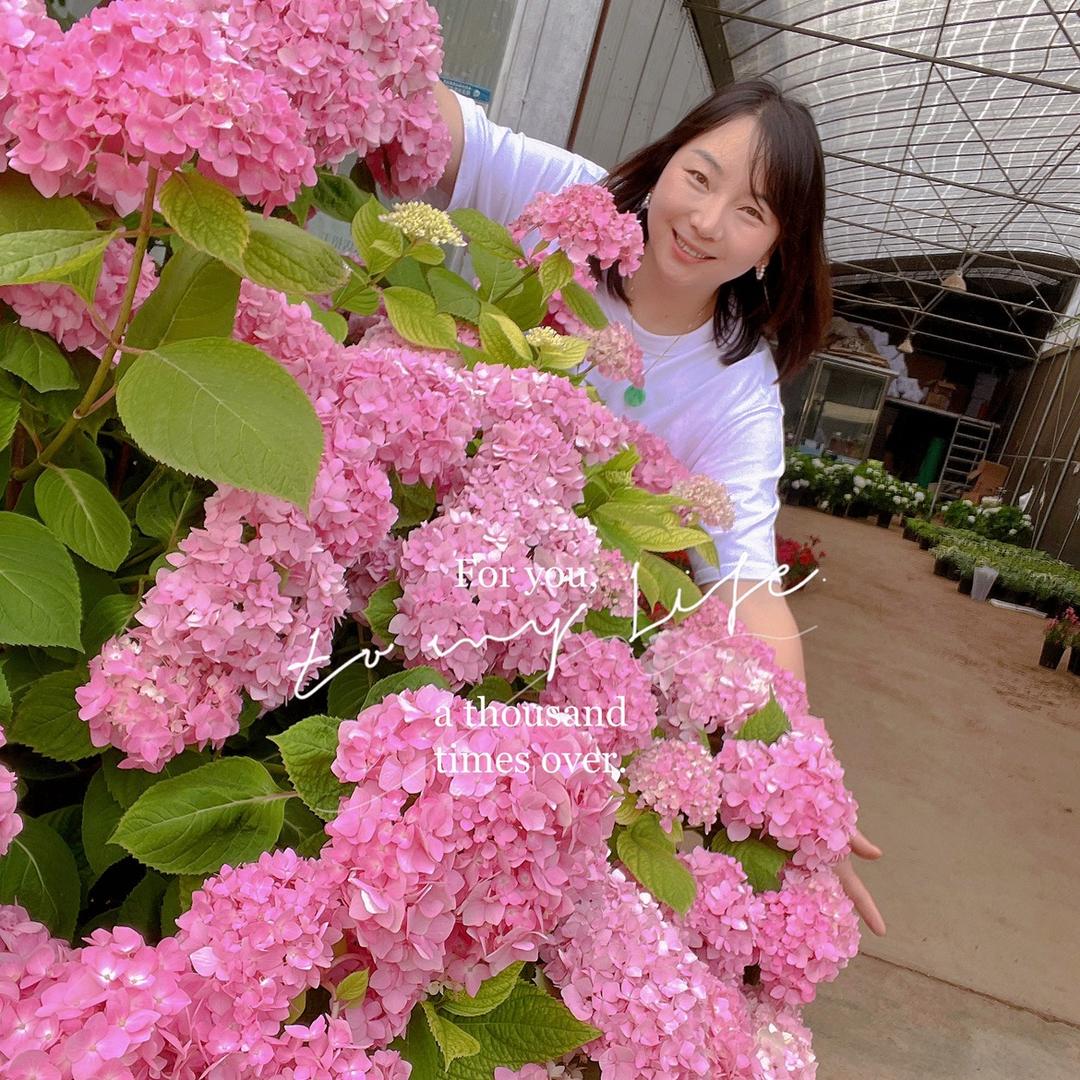昆明斗南花小花（云南鲜花批发店）