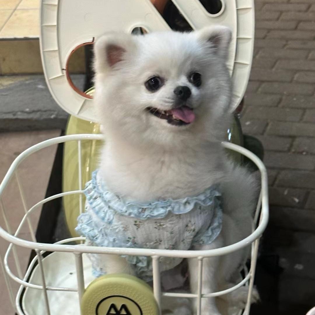陈兜兜要努力