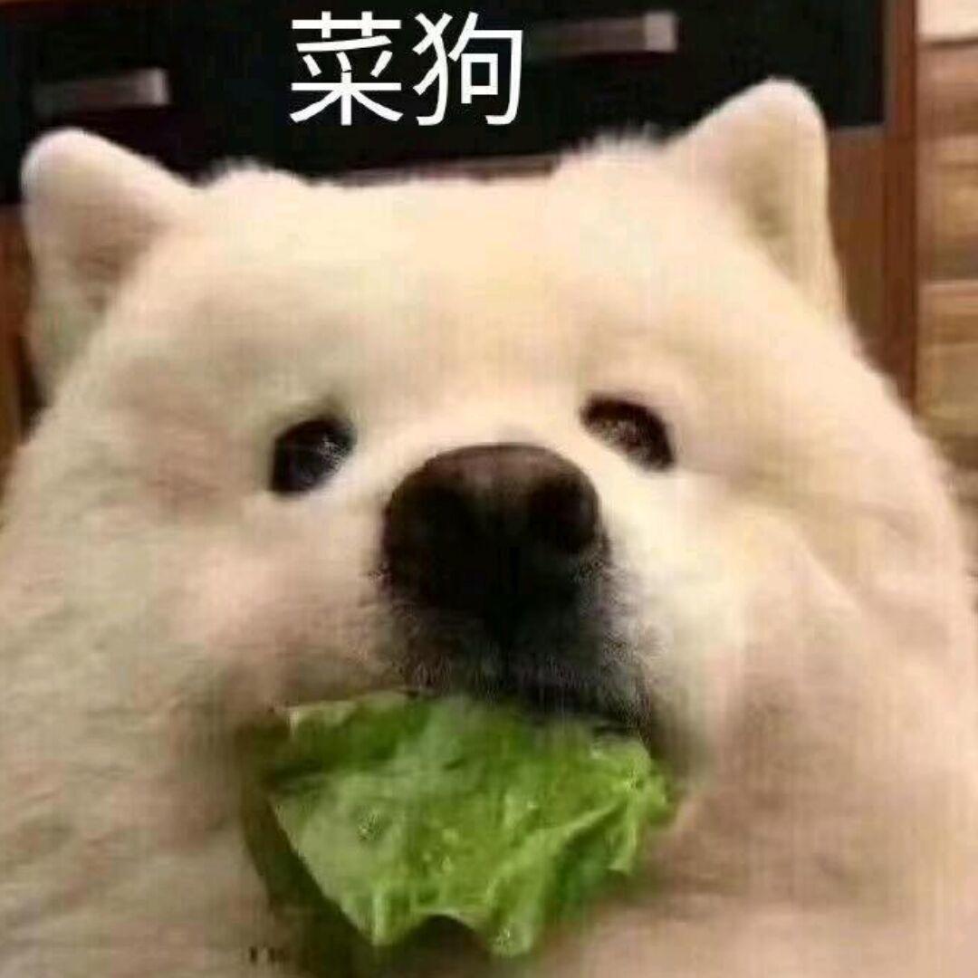 李温柔🐇