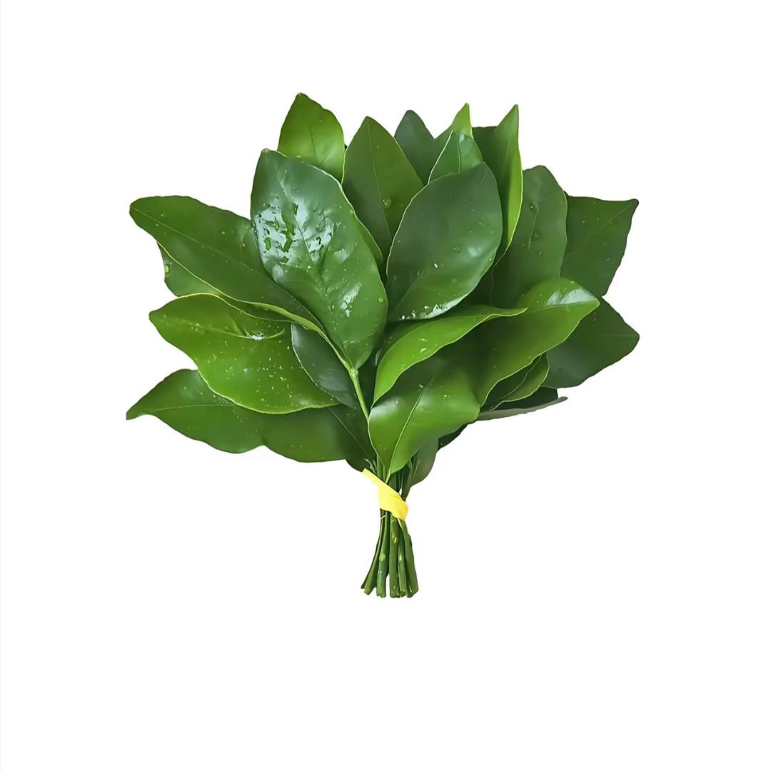 灰灰