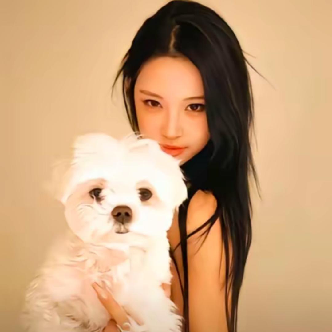 凤阳尹婚纱馆·周周🦋