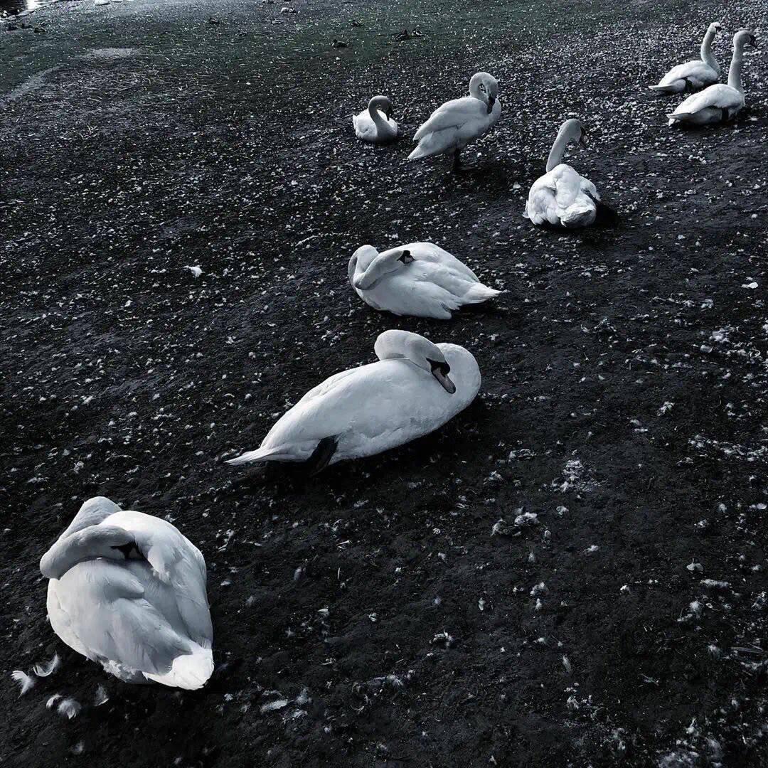 先生卖我几两仁义道德