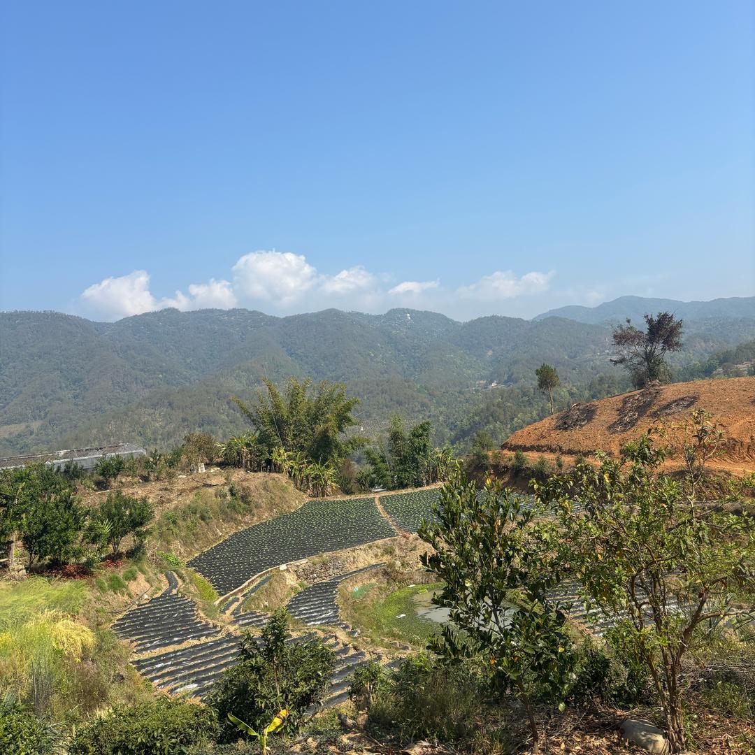 阿芝在深山
