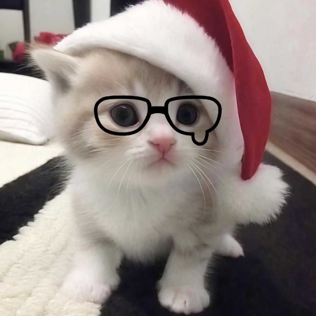 痴情的广西人请再等我一世吧