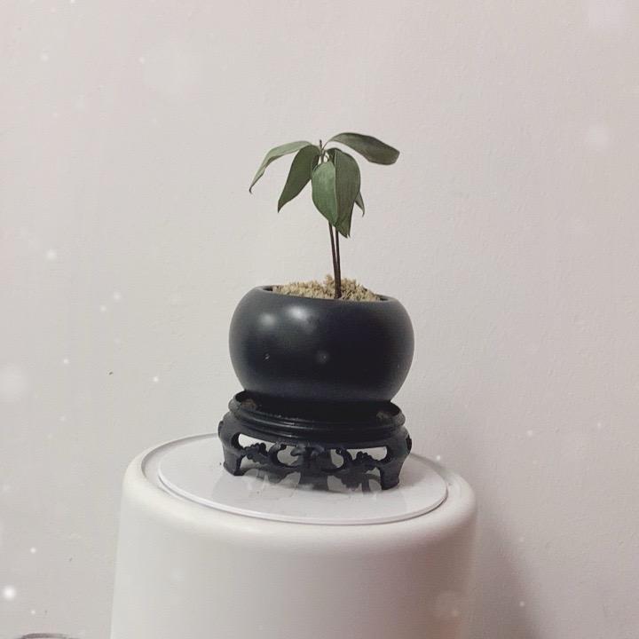 涵涵好物推荐穿搭