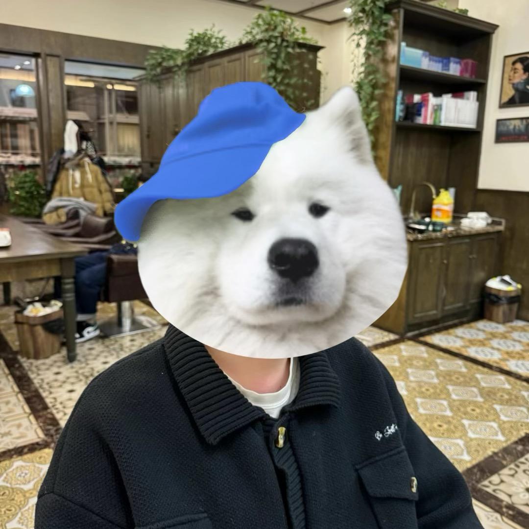 一只小萨摩