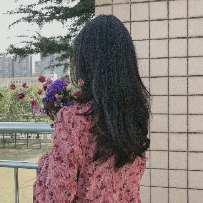 💜玫瑰到了花期