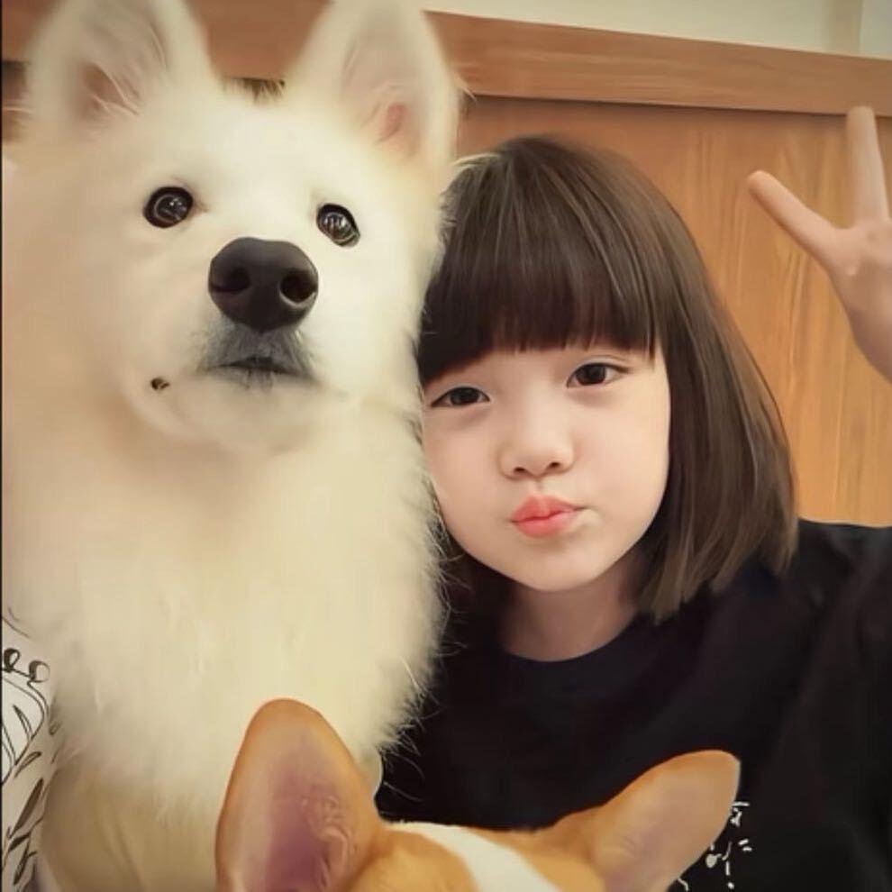 泡泡
