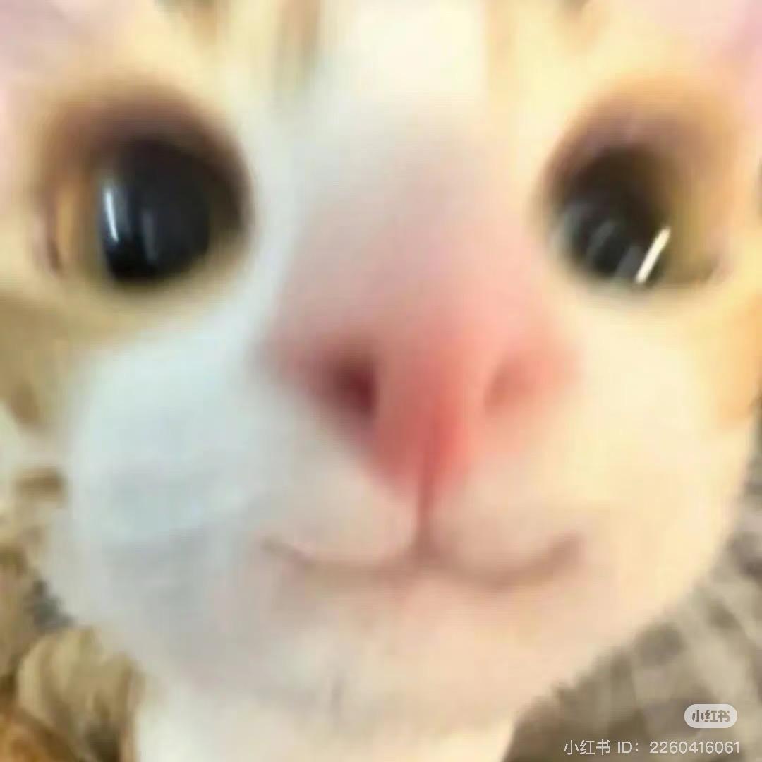 主动做