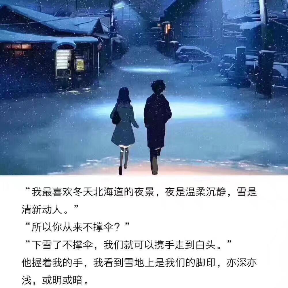 一只鸟