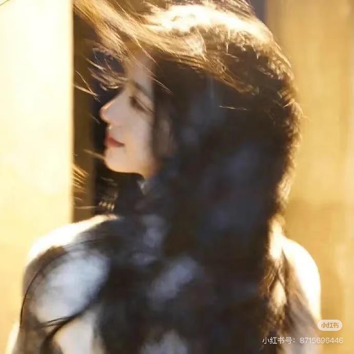 好运🐾（养分老实版）