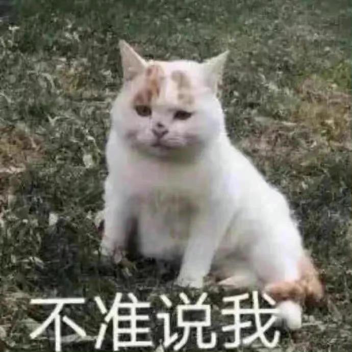宝宝🧸