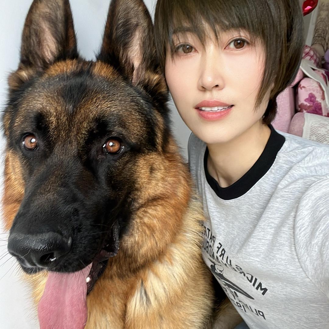 元宝是只德牧