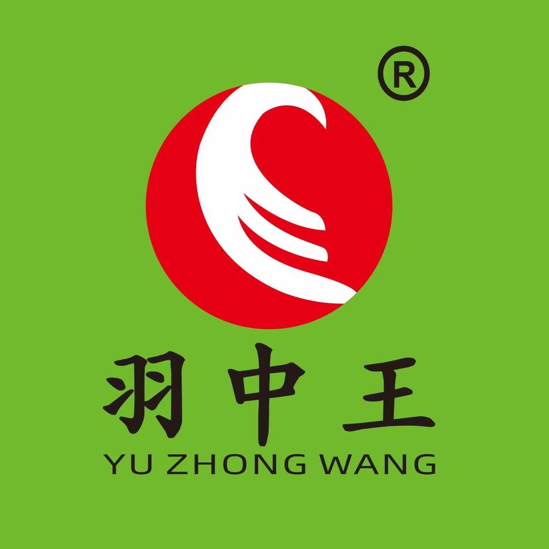 羽中王黑棕鹅