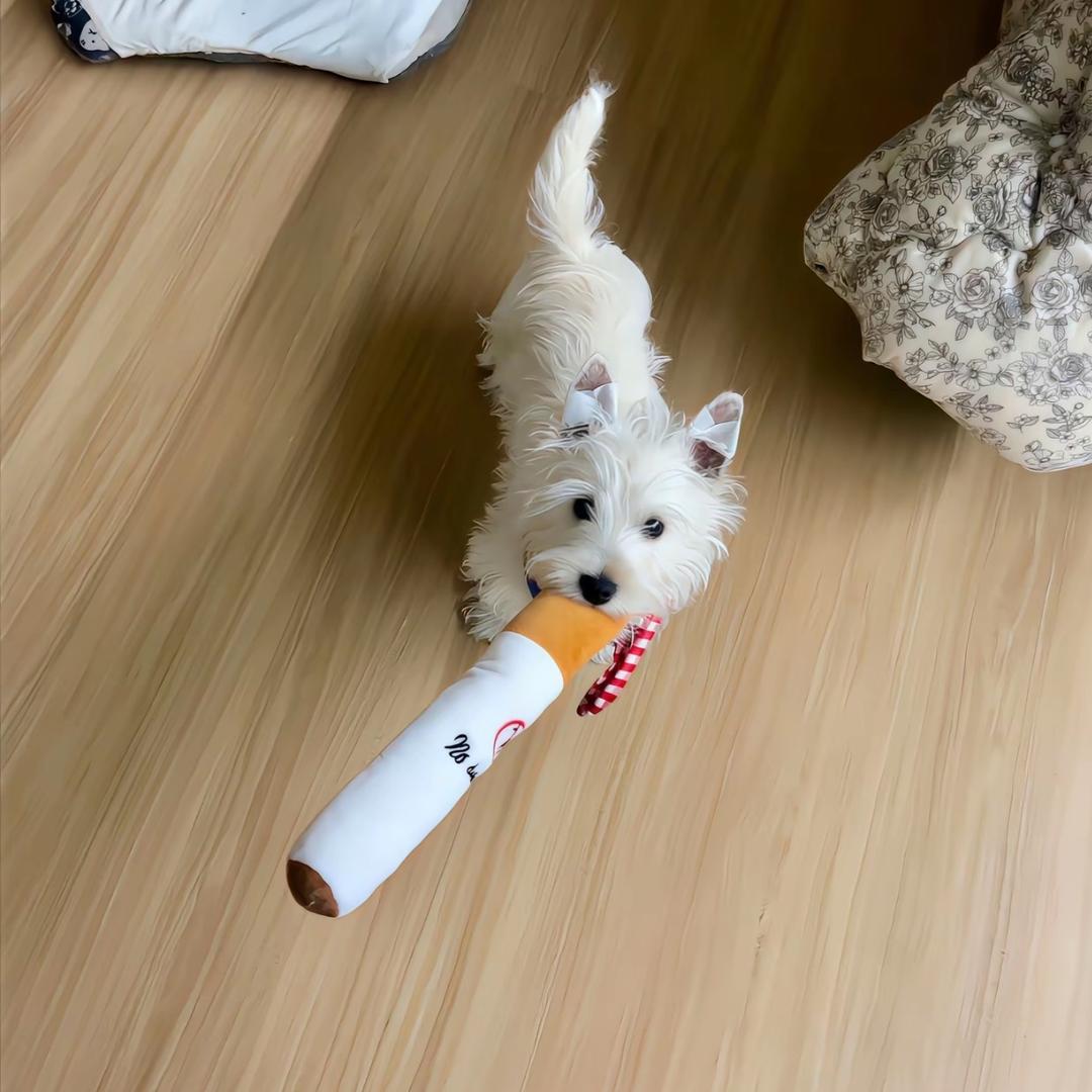 晕晕Oo