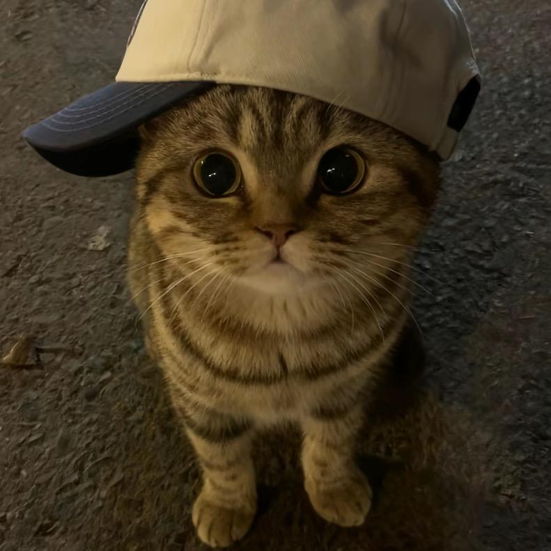 喜欢大口吃饭🍚