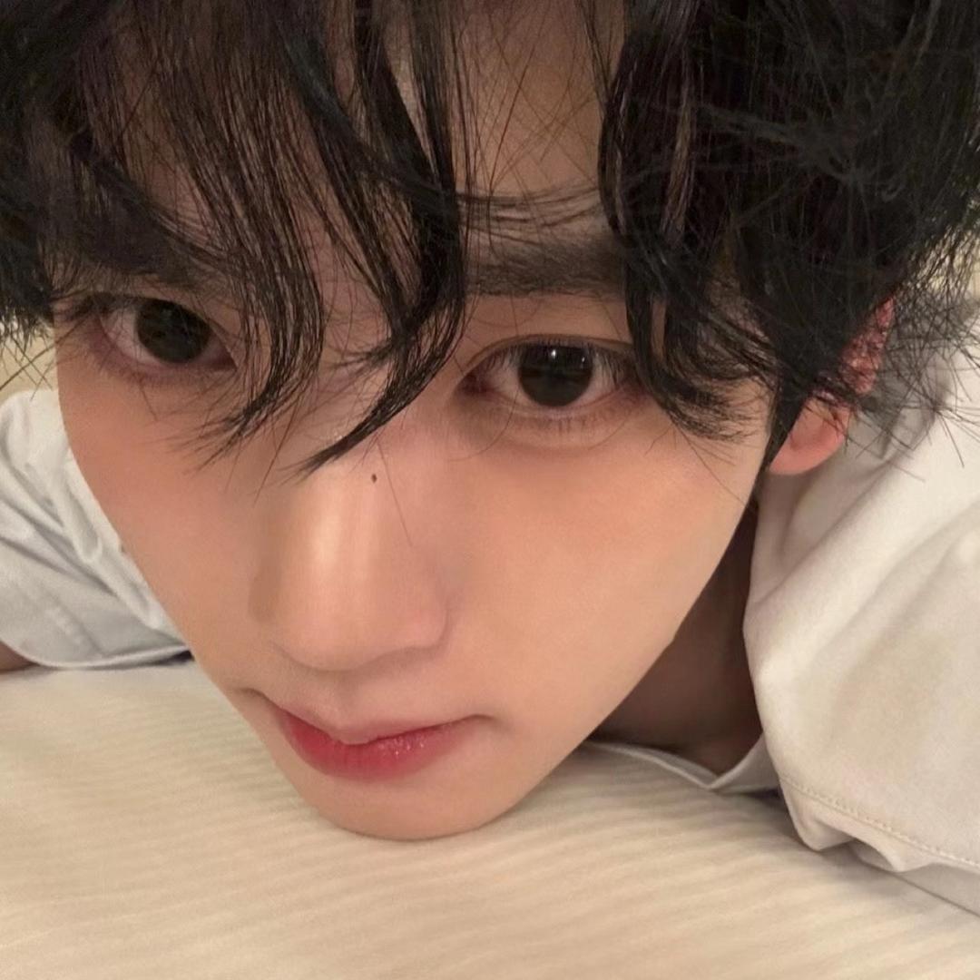 恐龙抗狼狼