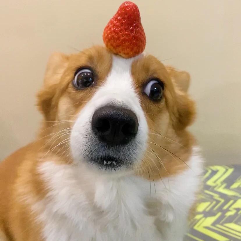 小脑缠