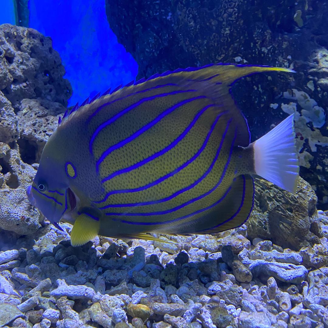 风平浪静