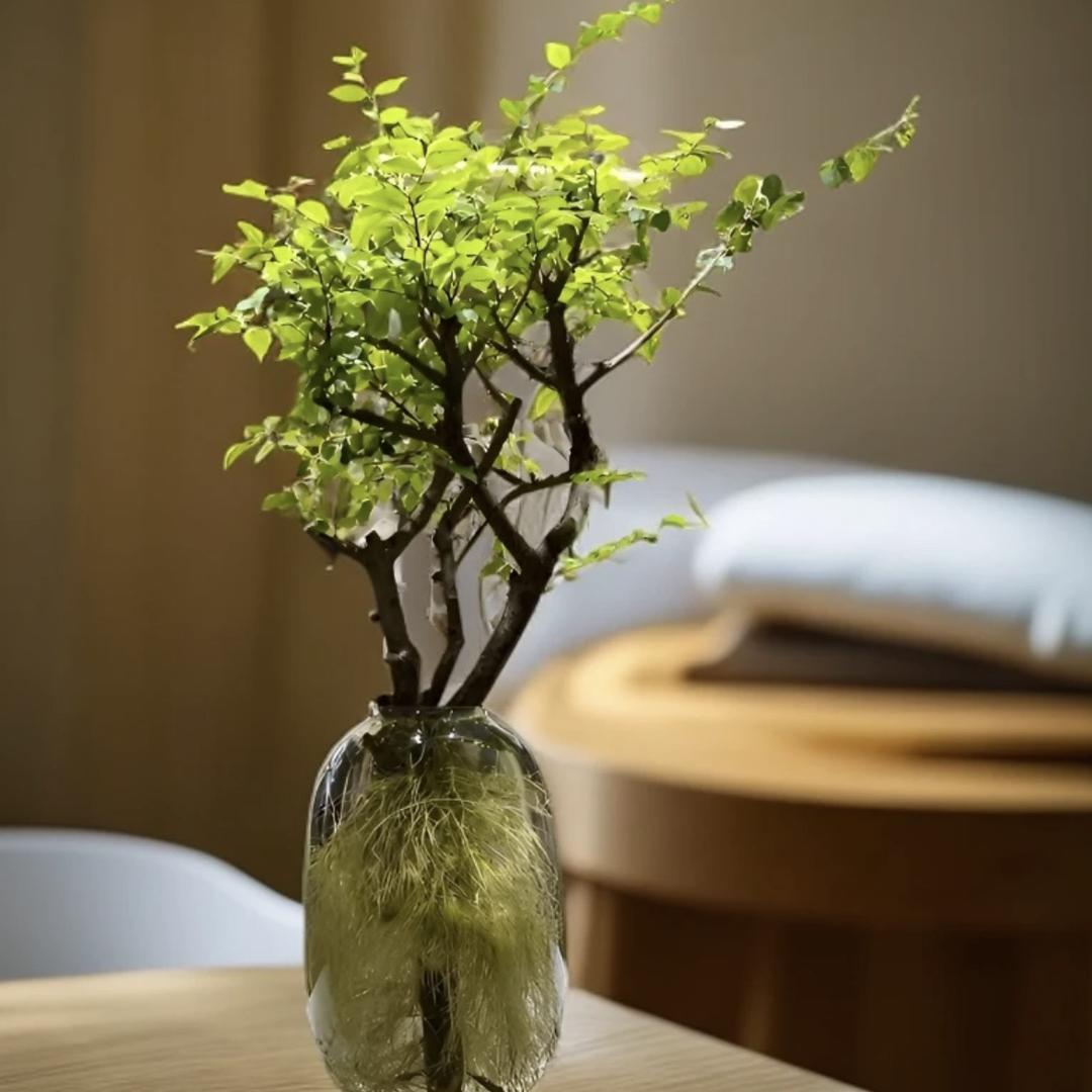 萌花似锦园艺坊