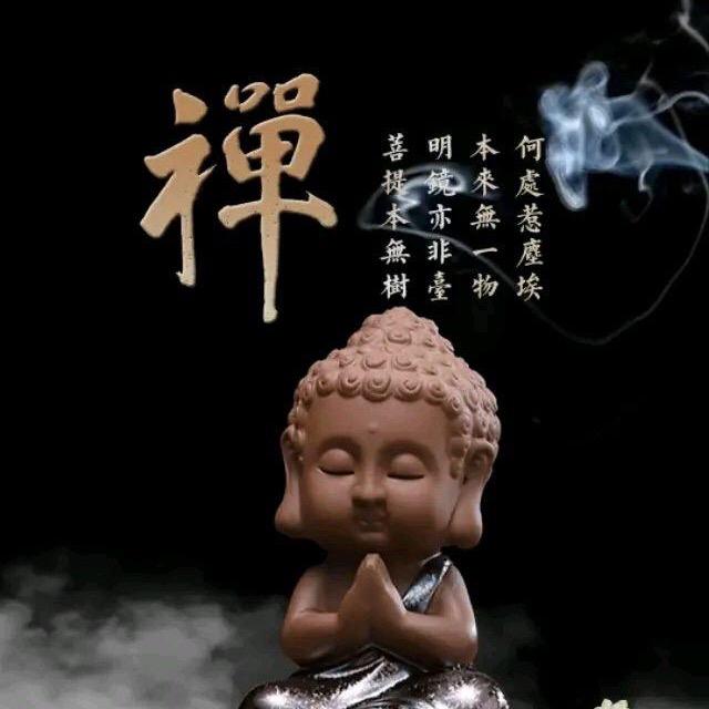 种花家护花使者