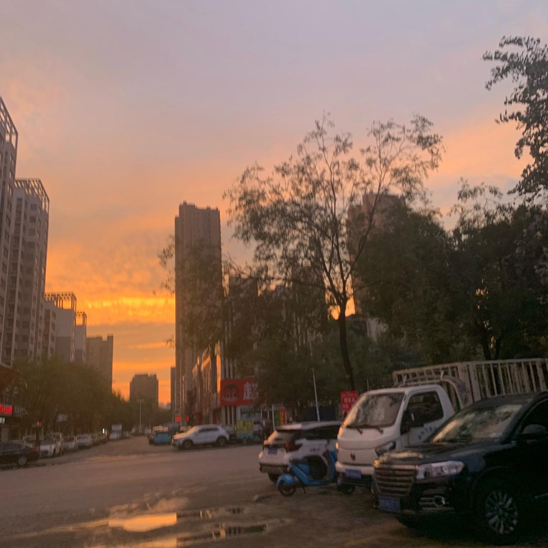 洲的