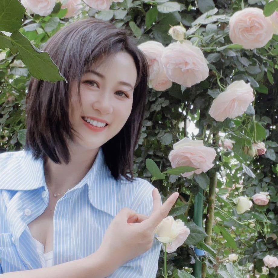 美刻永生花
