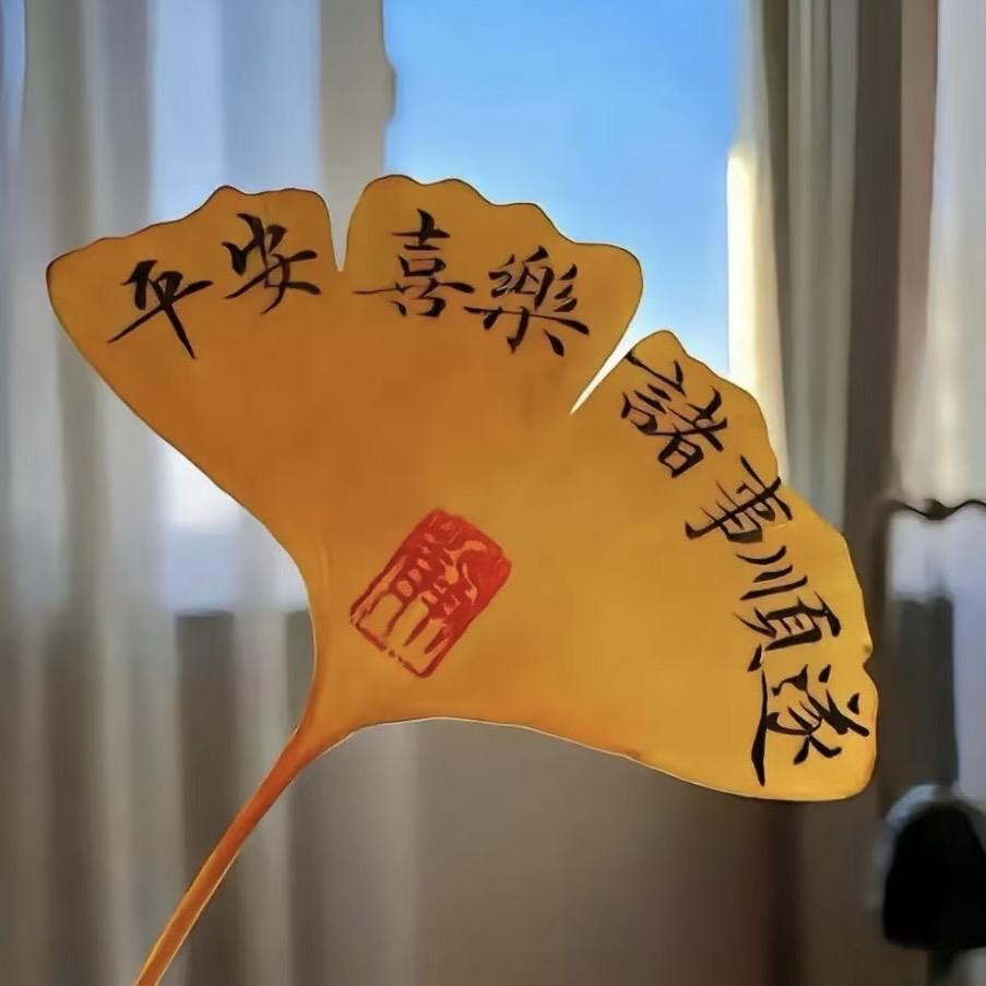 刘晶的好物优品