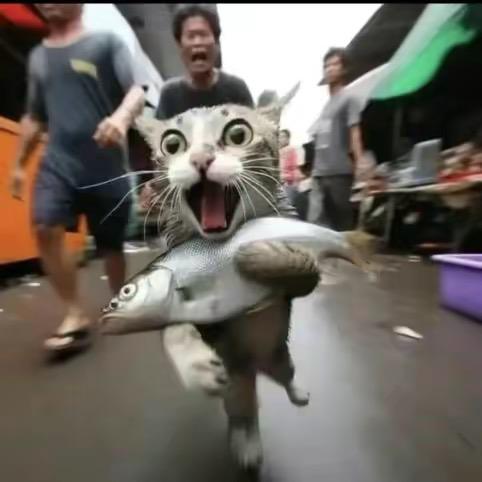 老小