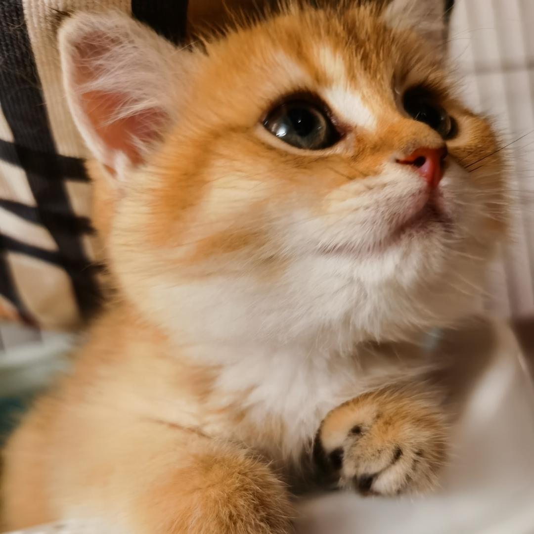 谂唔到名嘅阿杰