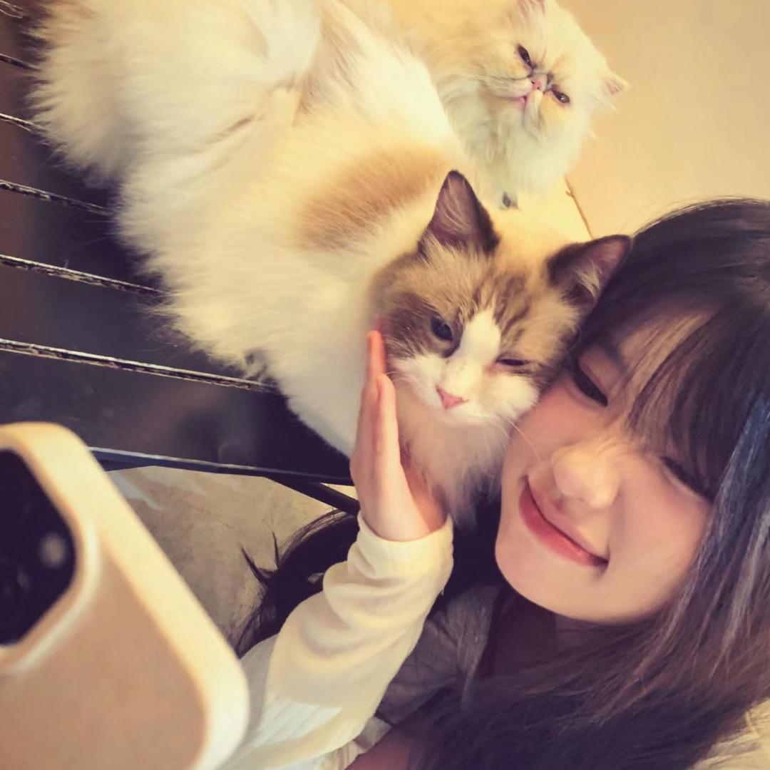 Tttttt•ᴥ•