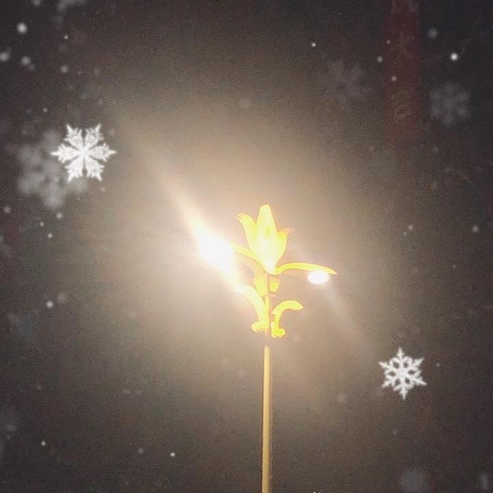 芳容11