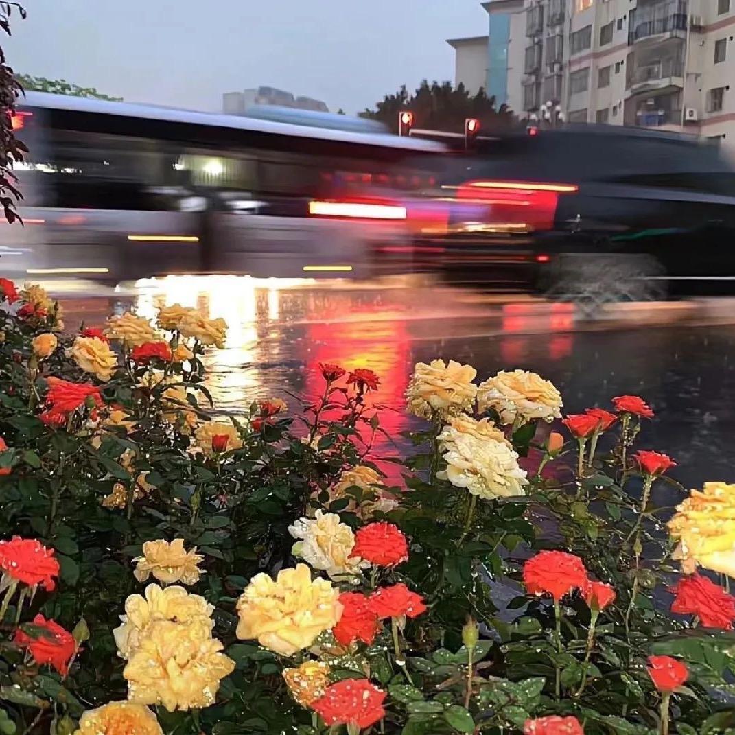 A深夜里的大魔王🍬